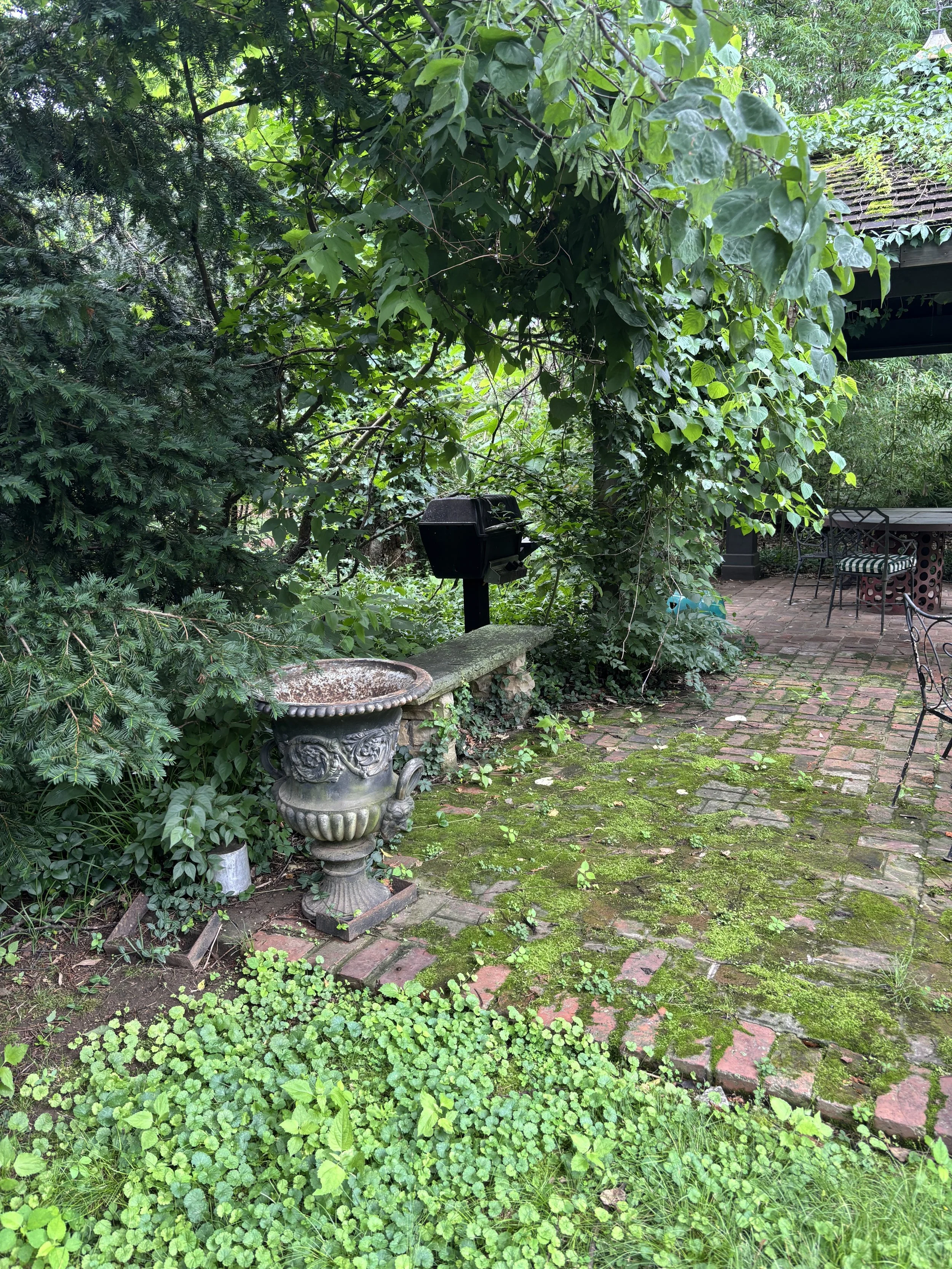 IMG_8432.jpeg