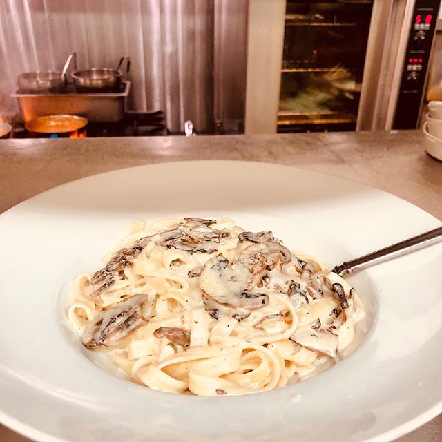 Fettuccine with mushrooms and Alfredo sauce