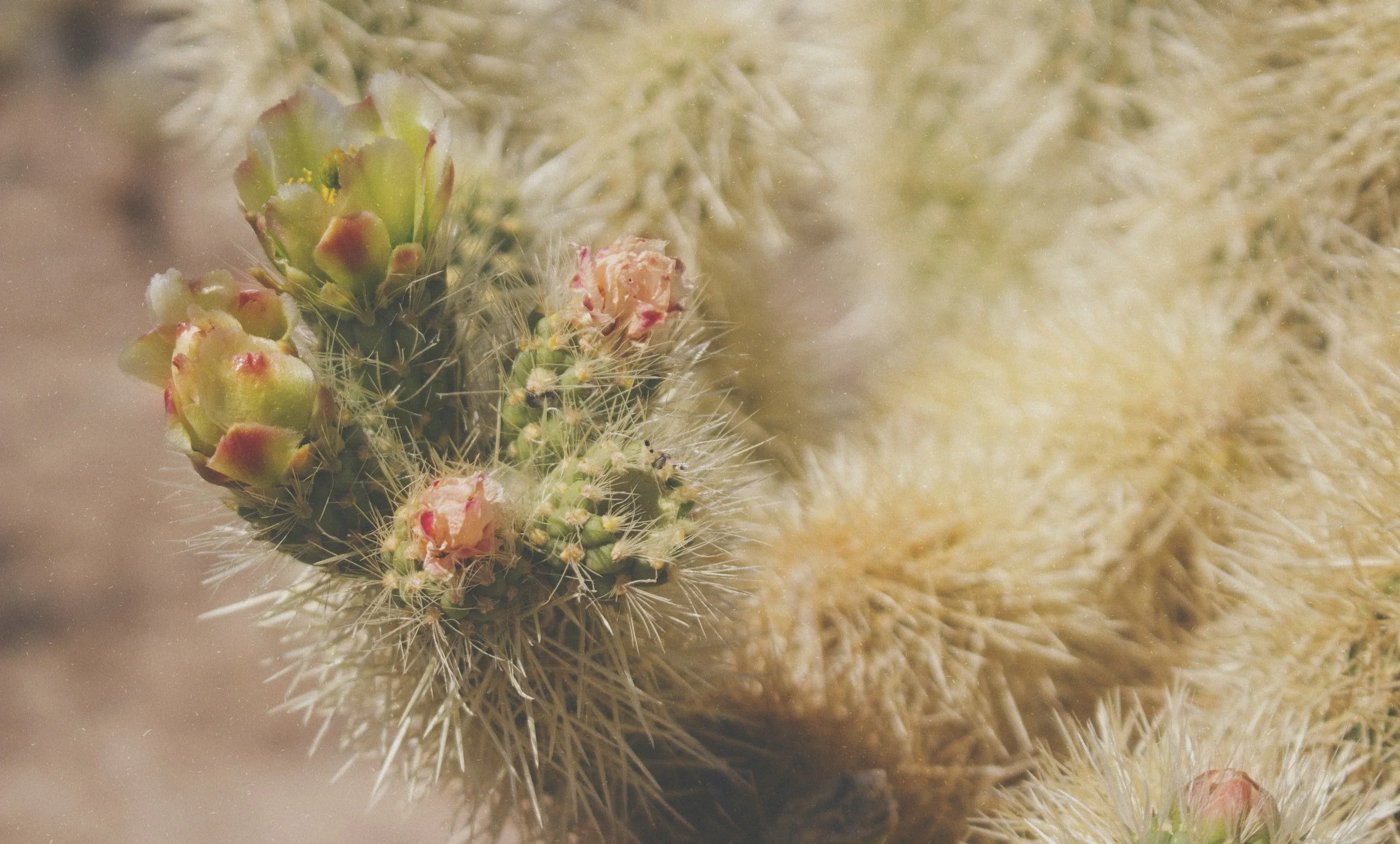 unsplash-image-wPOaQJcC7Ko.jpg