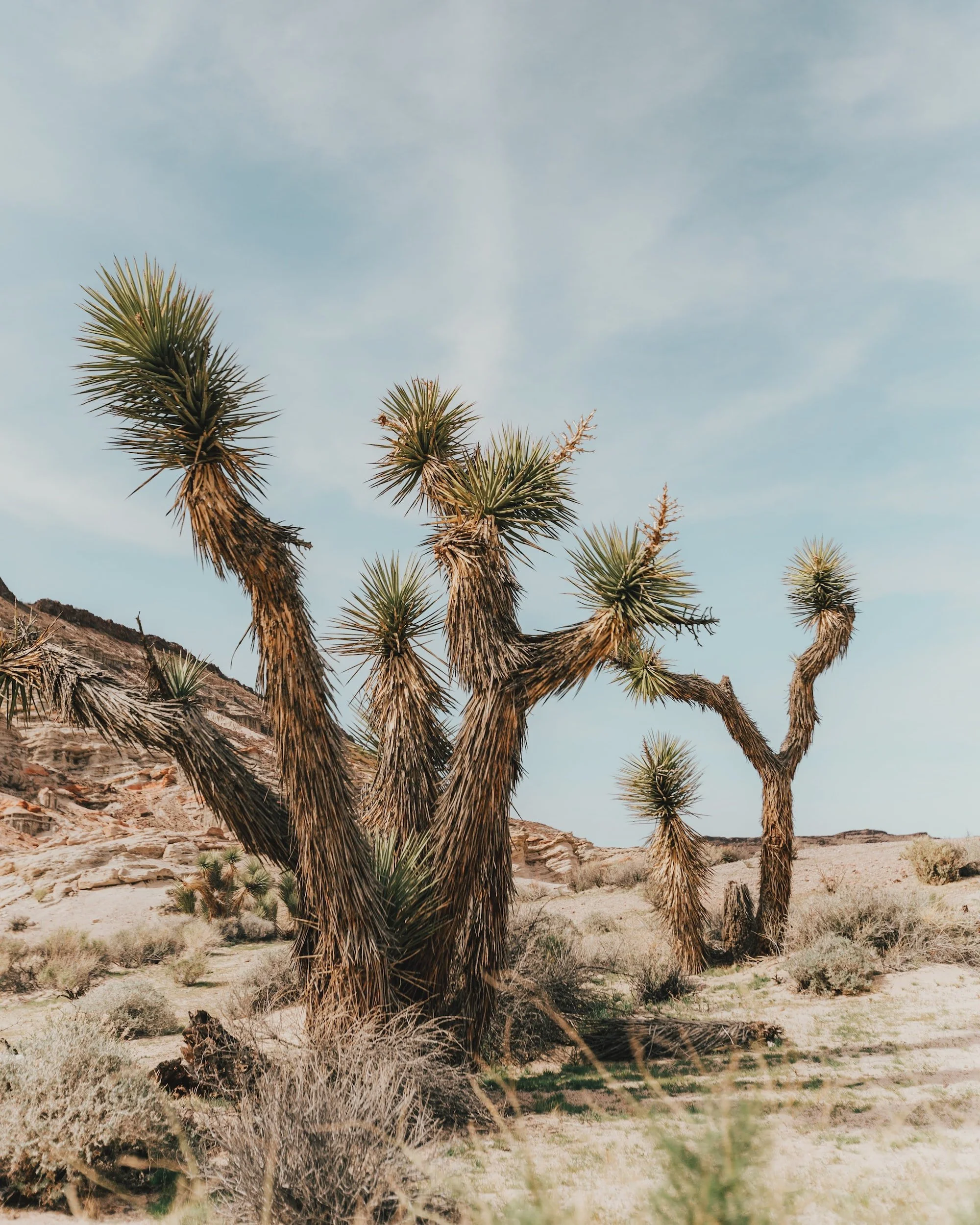 unsplash-image-9i68KSsytKg.jpg