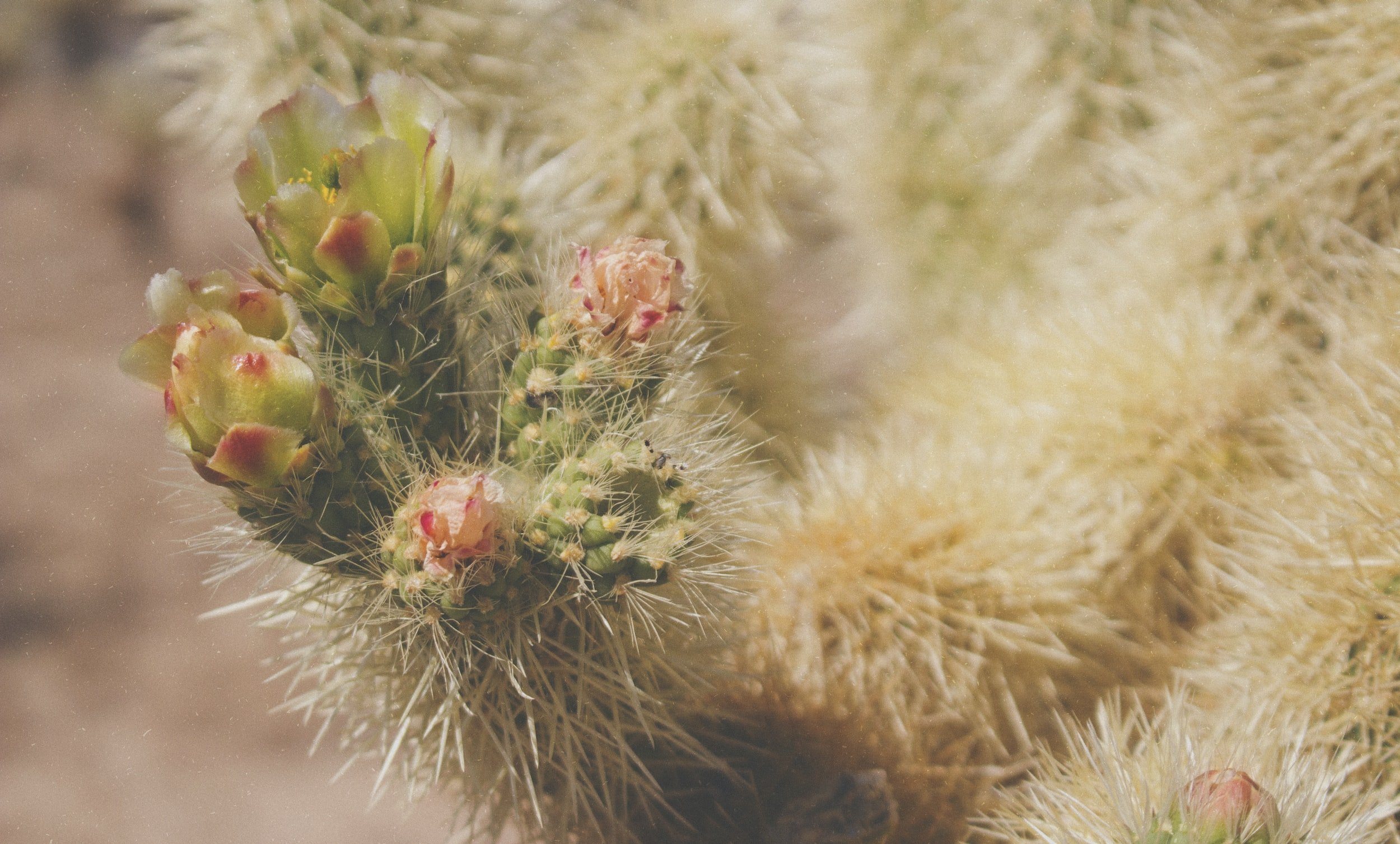 unsplash-image-wPOaQJcC7Ko.jpeg