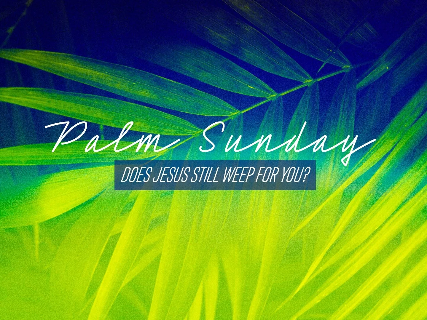 Palm Sunday - Does Jesus Still Weep For You?