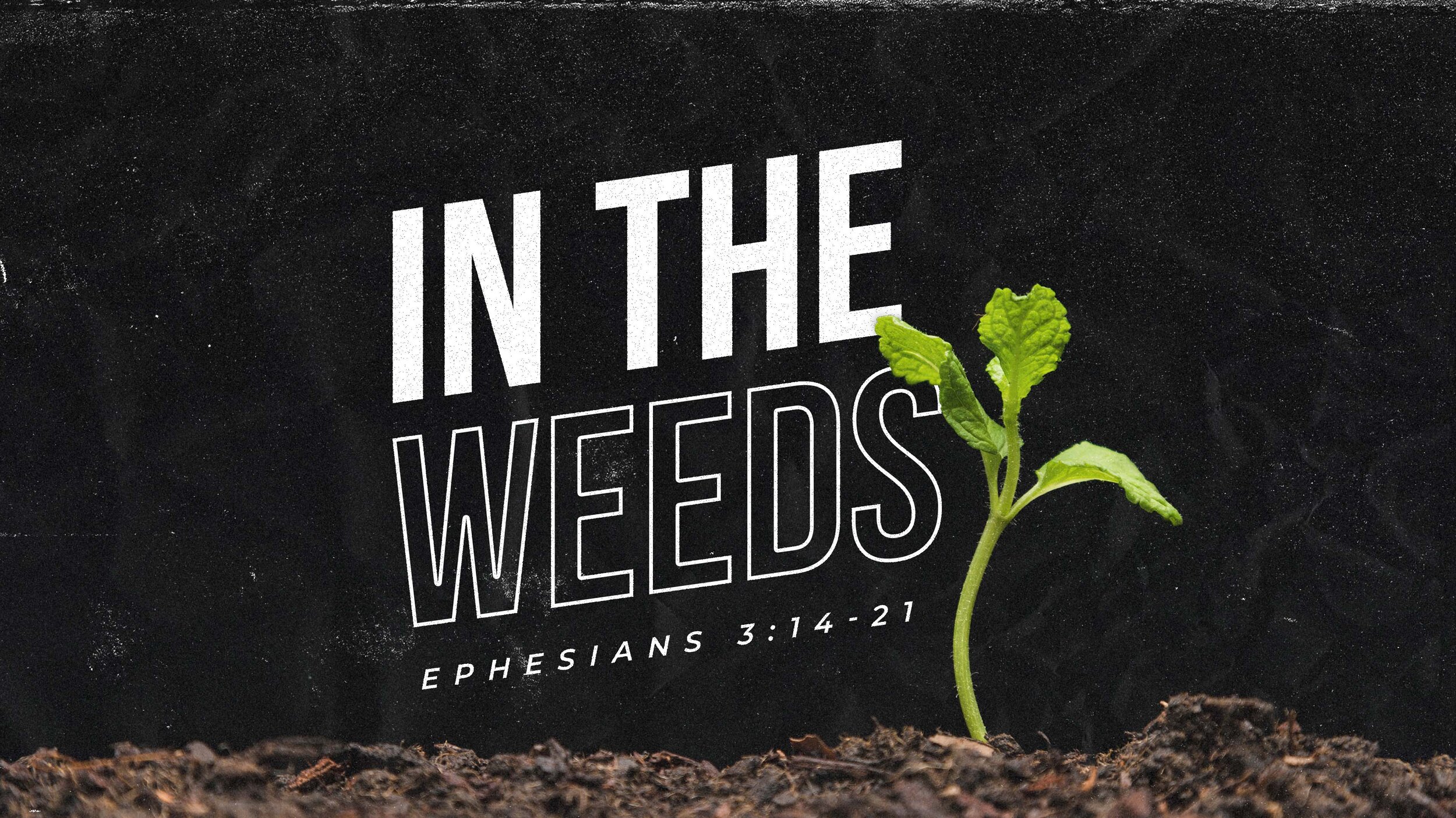 In the Weeds