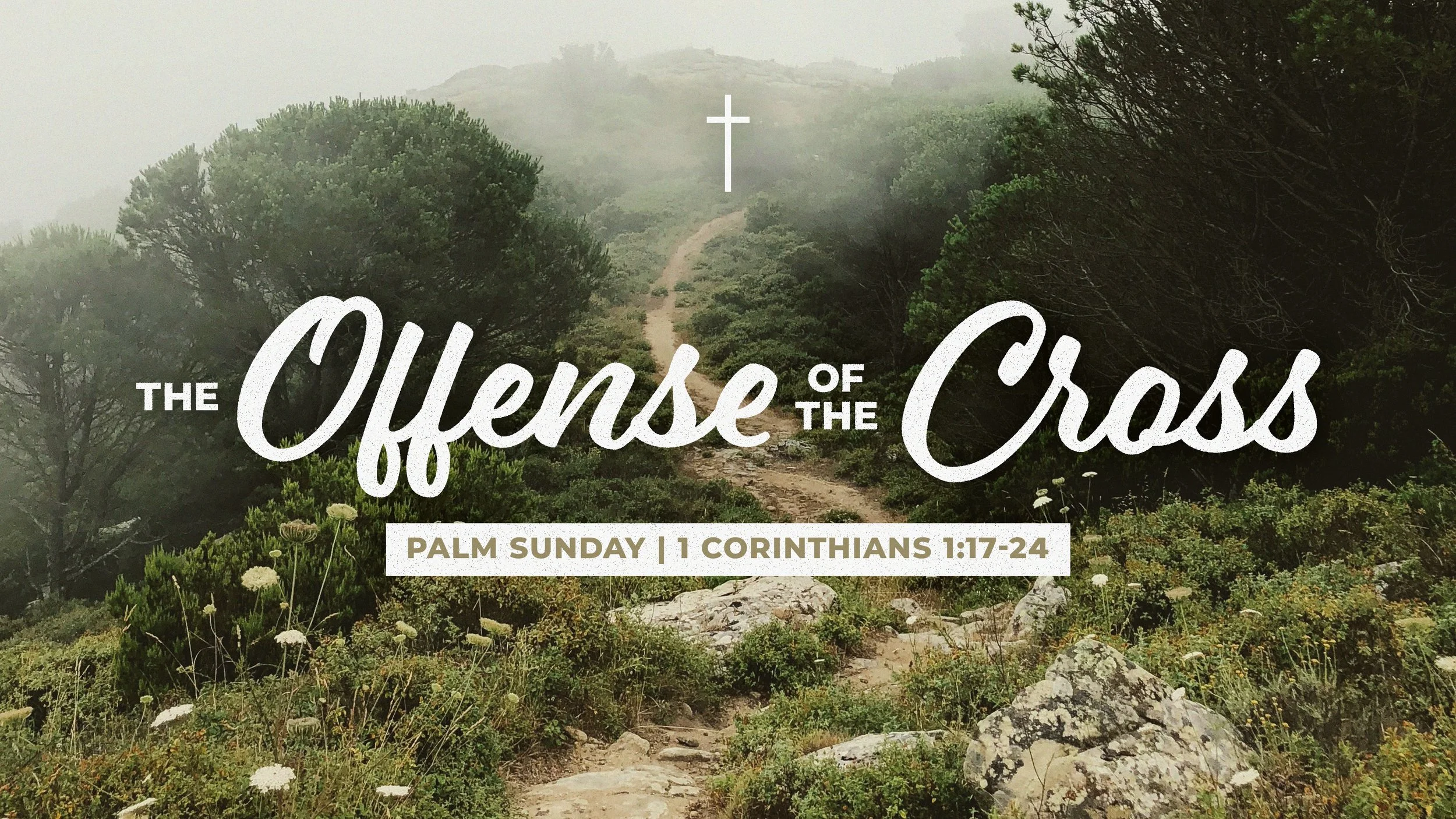 The Offense of the Cross | Palm Sunday
