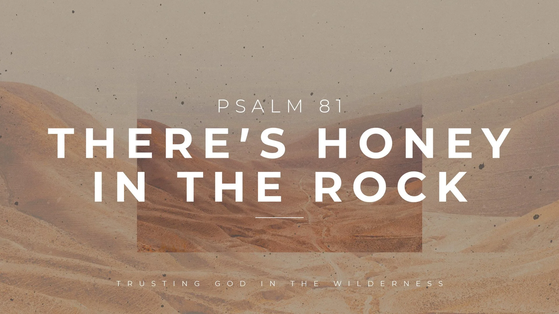 Psalm 81: There's Honey in the Rock
