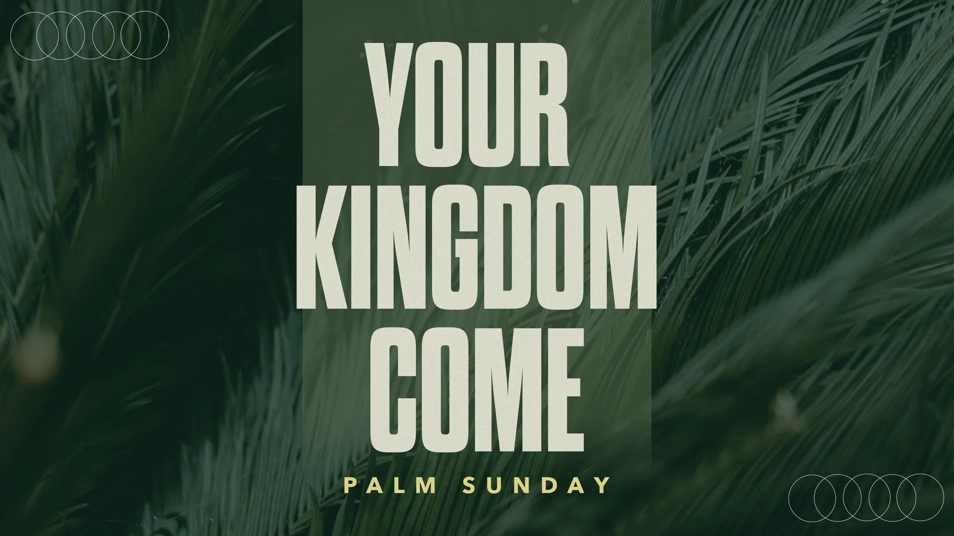 Your Kingdom Come | Palm Sunday