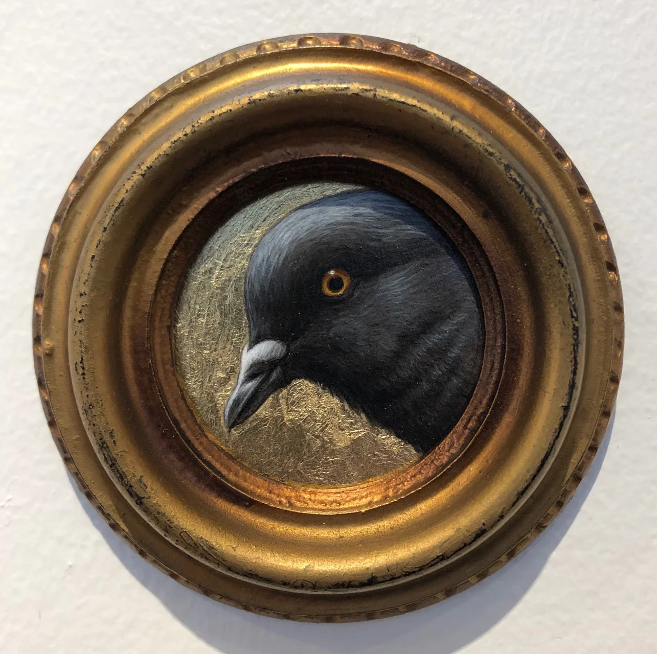 Jean Labourdette-perplexed-pigeon.jpg