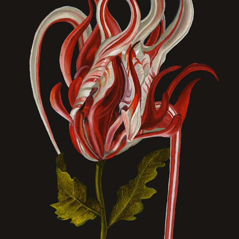 Lindsey-Carr-Flower2_15x15cm.jpg