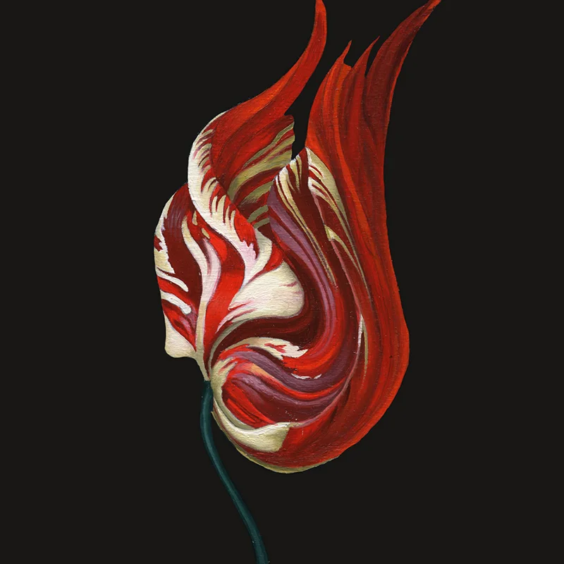 Lindsey-Carr-Flower4_15x15cm.jpg