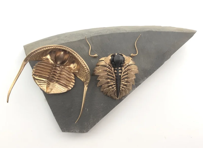 D Allan Drummond Cryptolithus Dissection-1.jpg