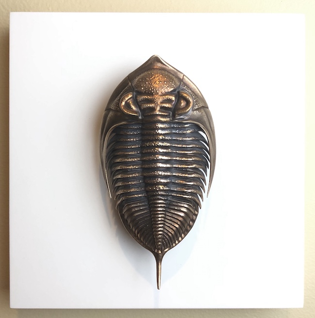 D Allan Drummond Devonian Explorer-main.jpg