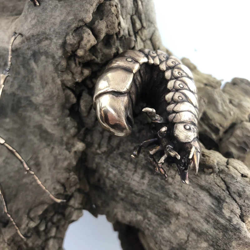 D Allan Drummond life cycle lucanus-2.jpg