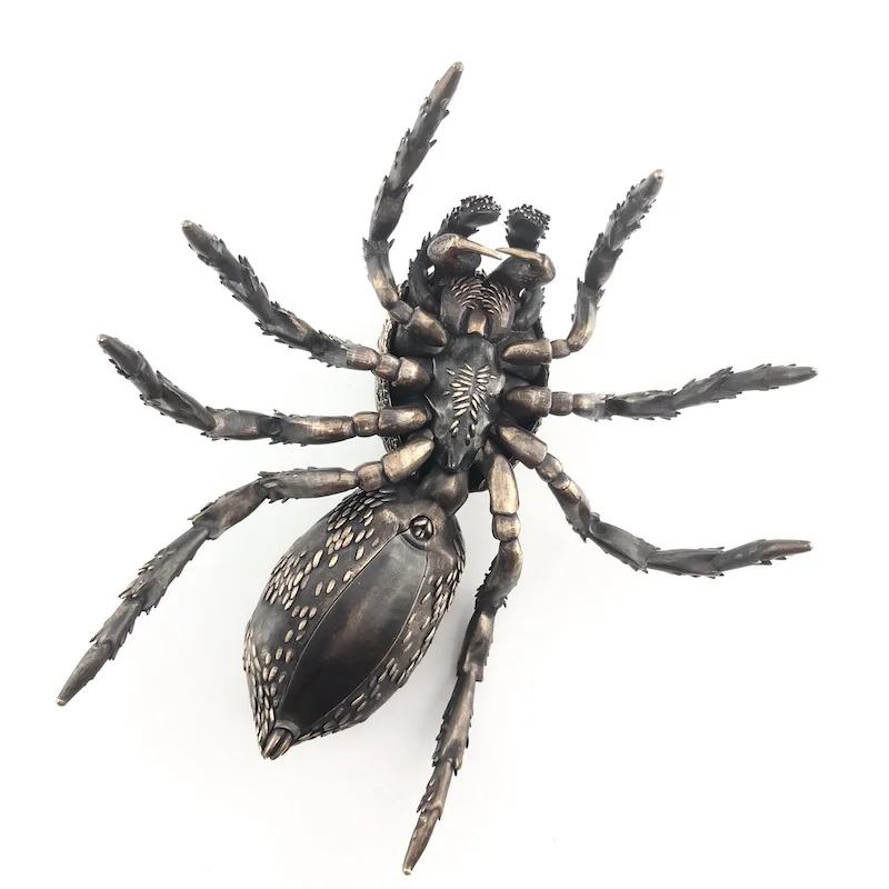 D Allan Drummond scenicus-2.jpg