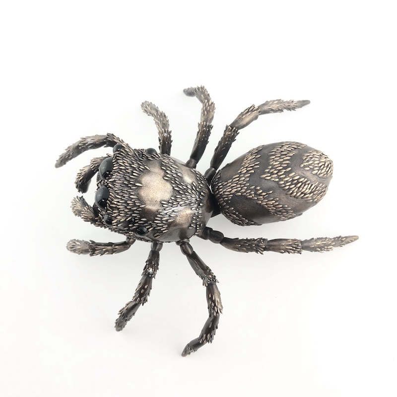 D Allan Drummond scenicus-3.jpg