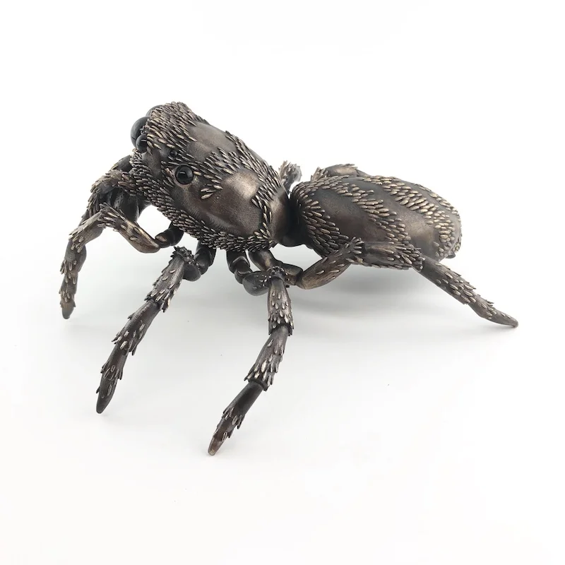 D Allan Drummond scenicus-4.jpg