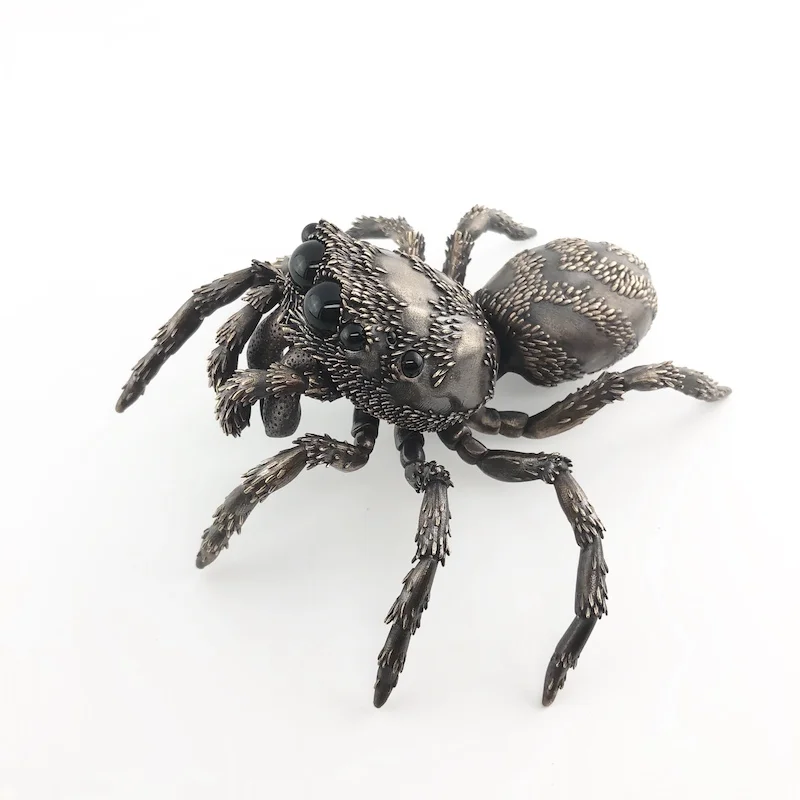 D Allan Drummond scenicus-5.jpg