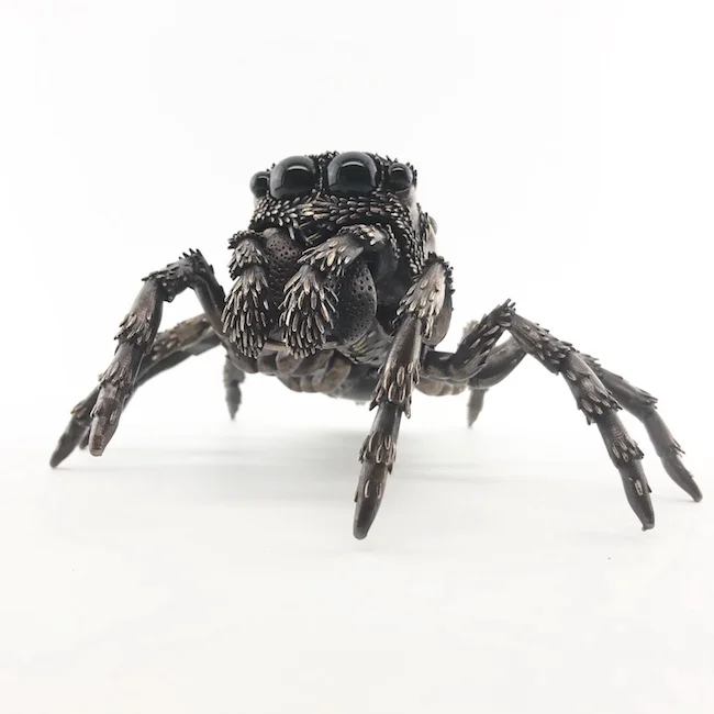 D Allan Drummond scenicus-main.jpg