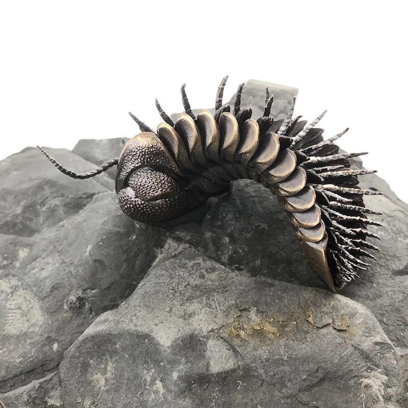 D Allan Drummond Trilobite Life Plate-1.jpg