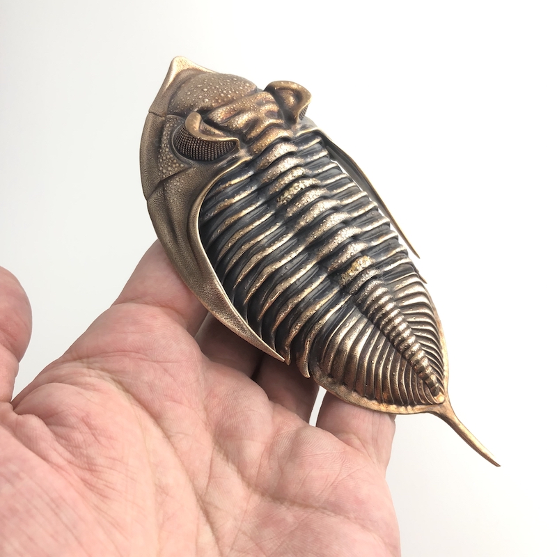 D Allen Drummond Devonian Explorer-2.jpg