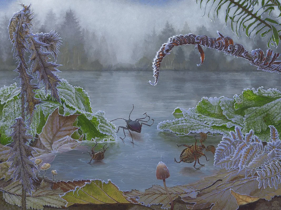 BellaOrmseth_Ice Follies 24x18 .jpg