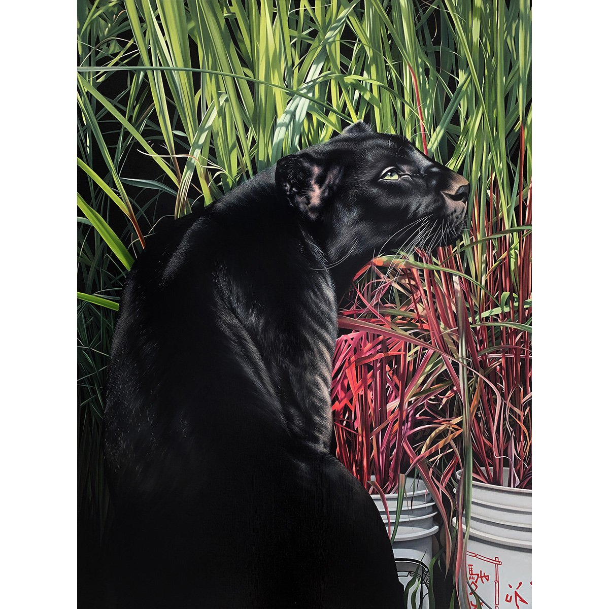Josie Morway gardener Salon.jpg