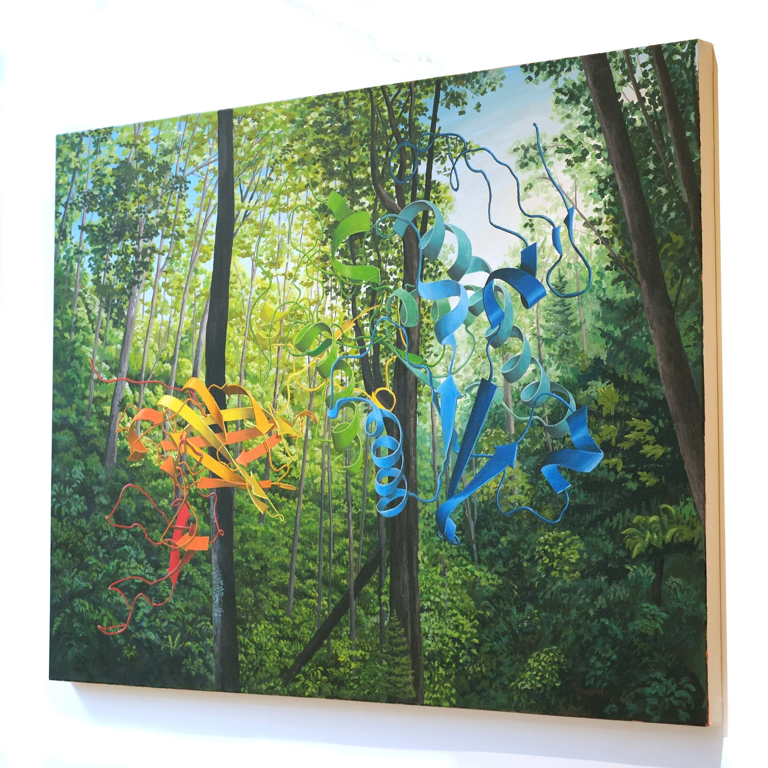 Jed image 1 side.jpg