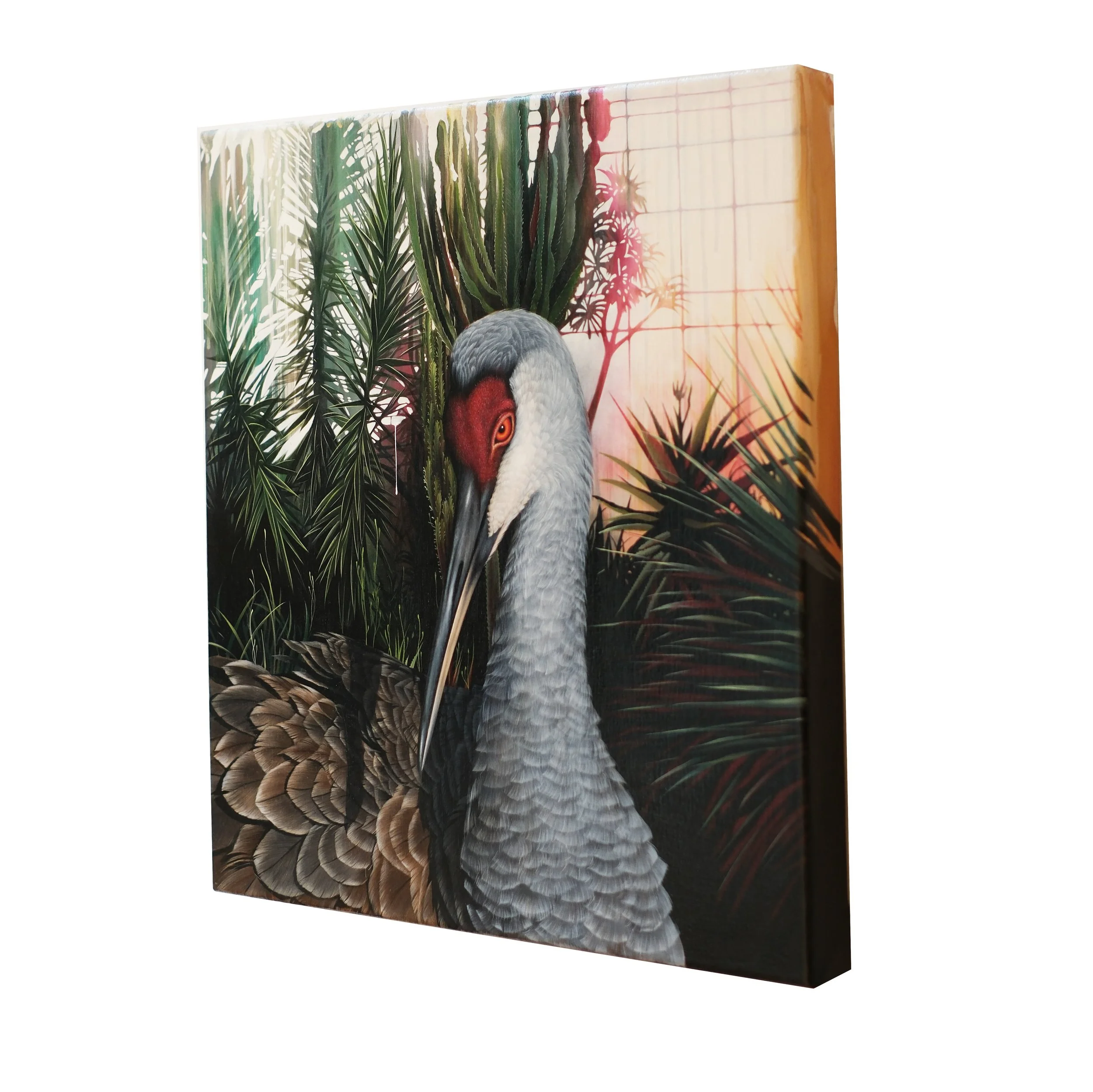 side fourth wall.jpg