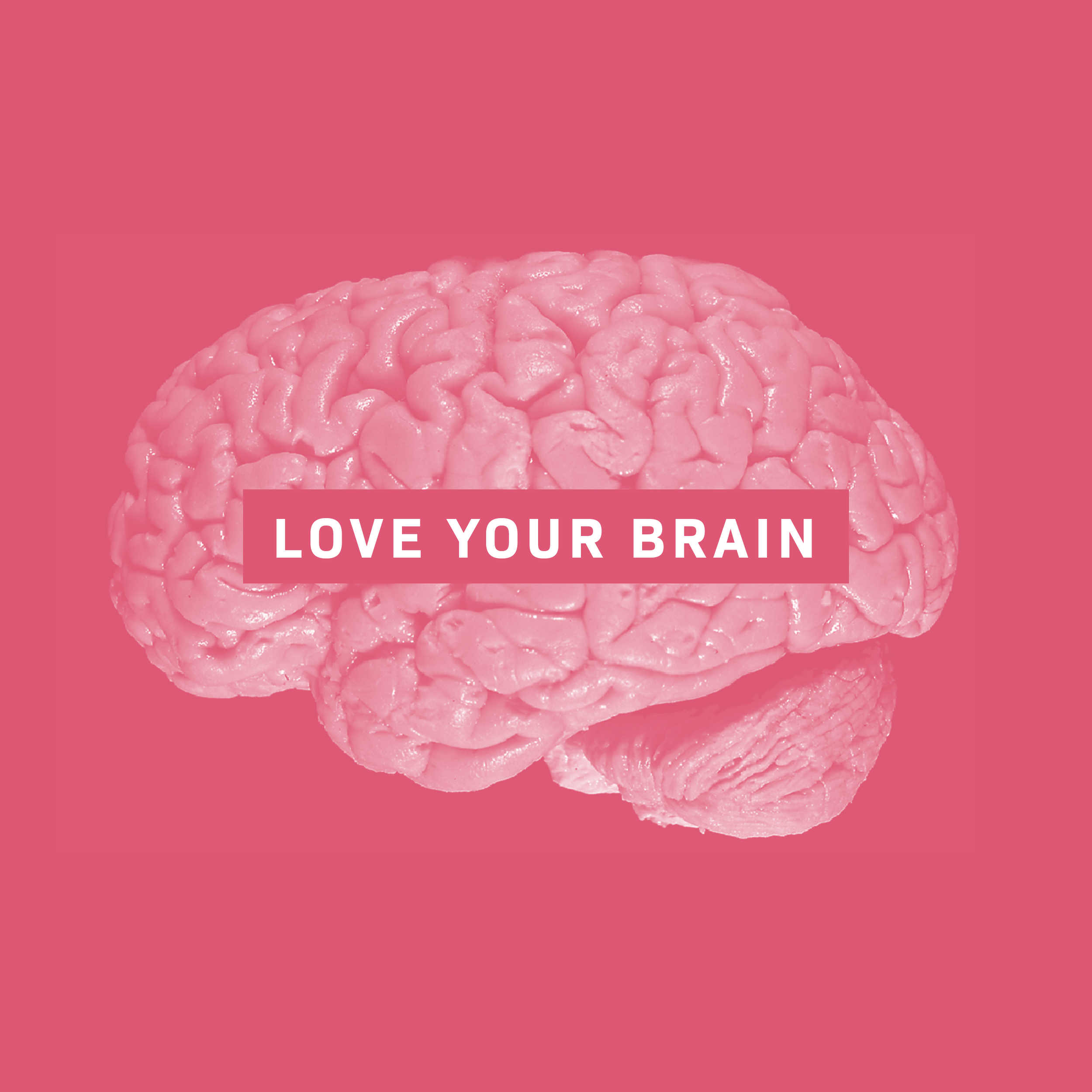 YourBrainIsYou_BrainGraphics_IG01.png