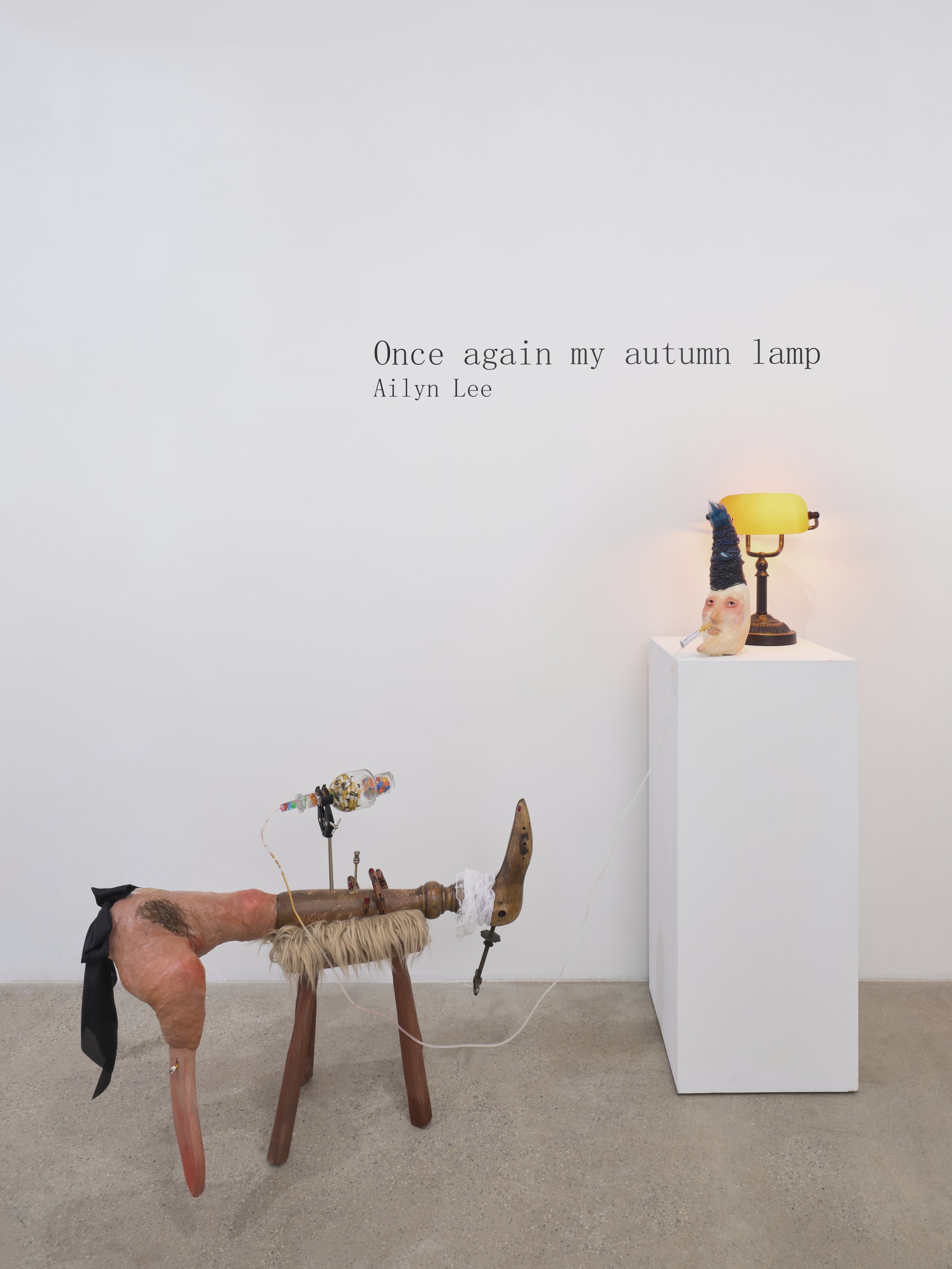 Ailyn Lee-12-JPEG-72dpi-Web-Use.jpg