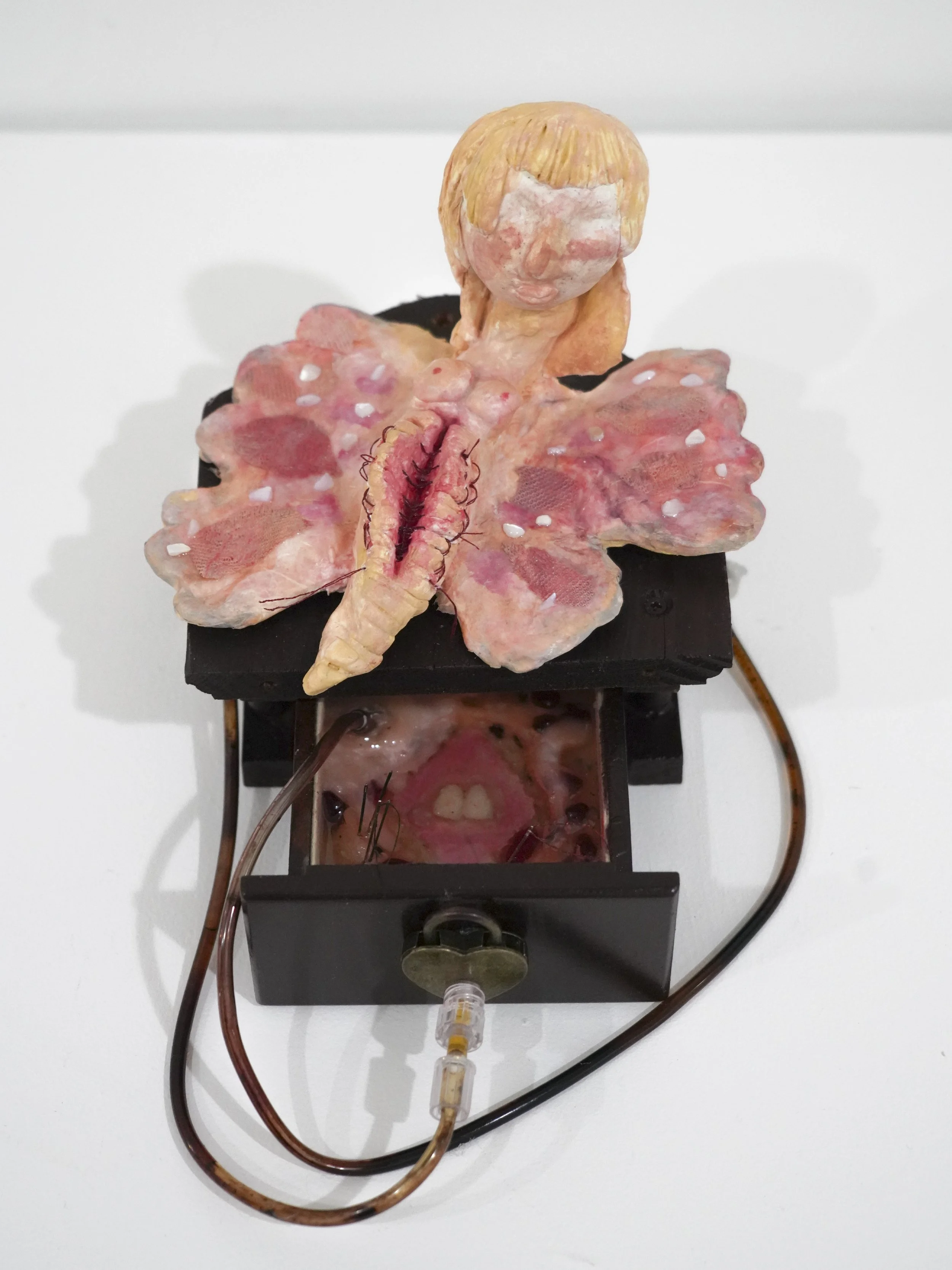 *butterflyinfirmary-02.jpg