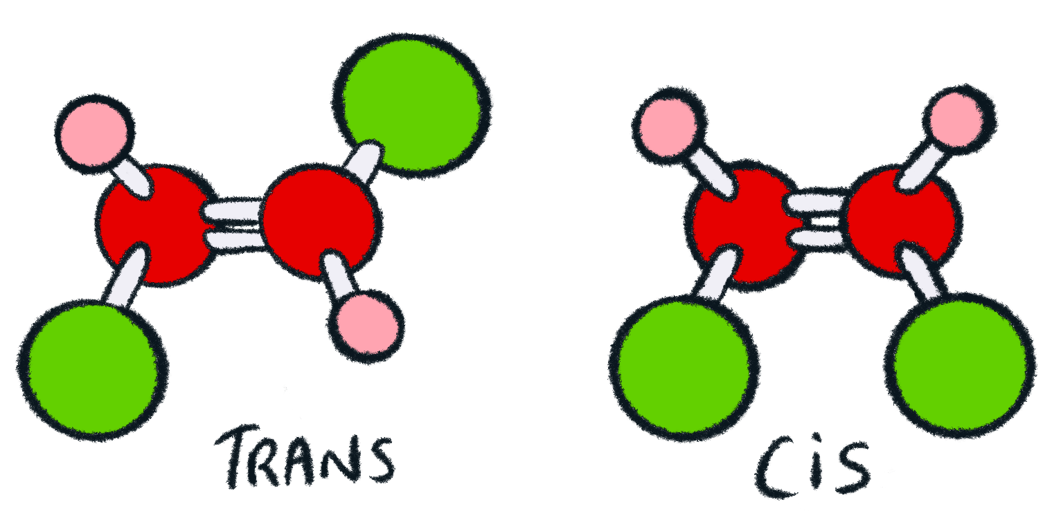 What does cis mean? — TransHub