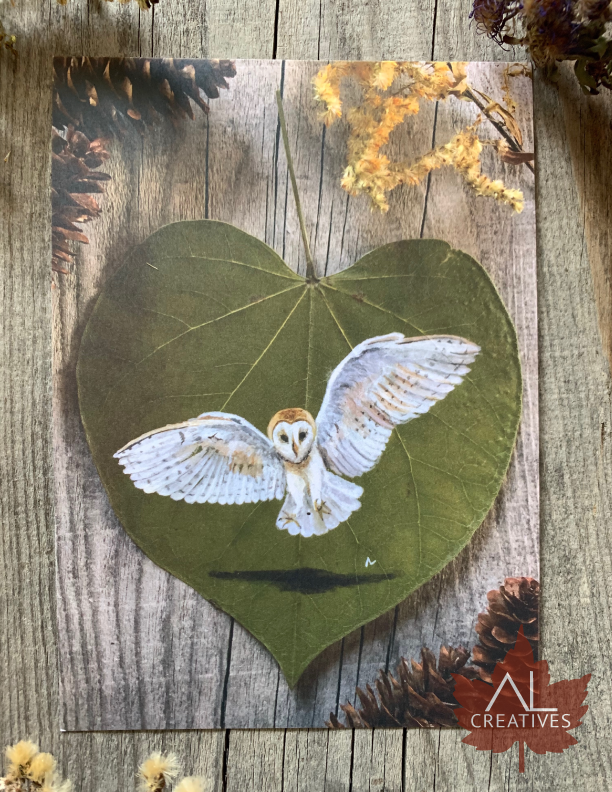 Print - Barn Owl — Alexandra Lalande Creatives