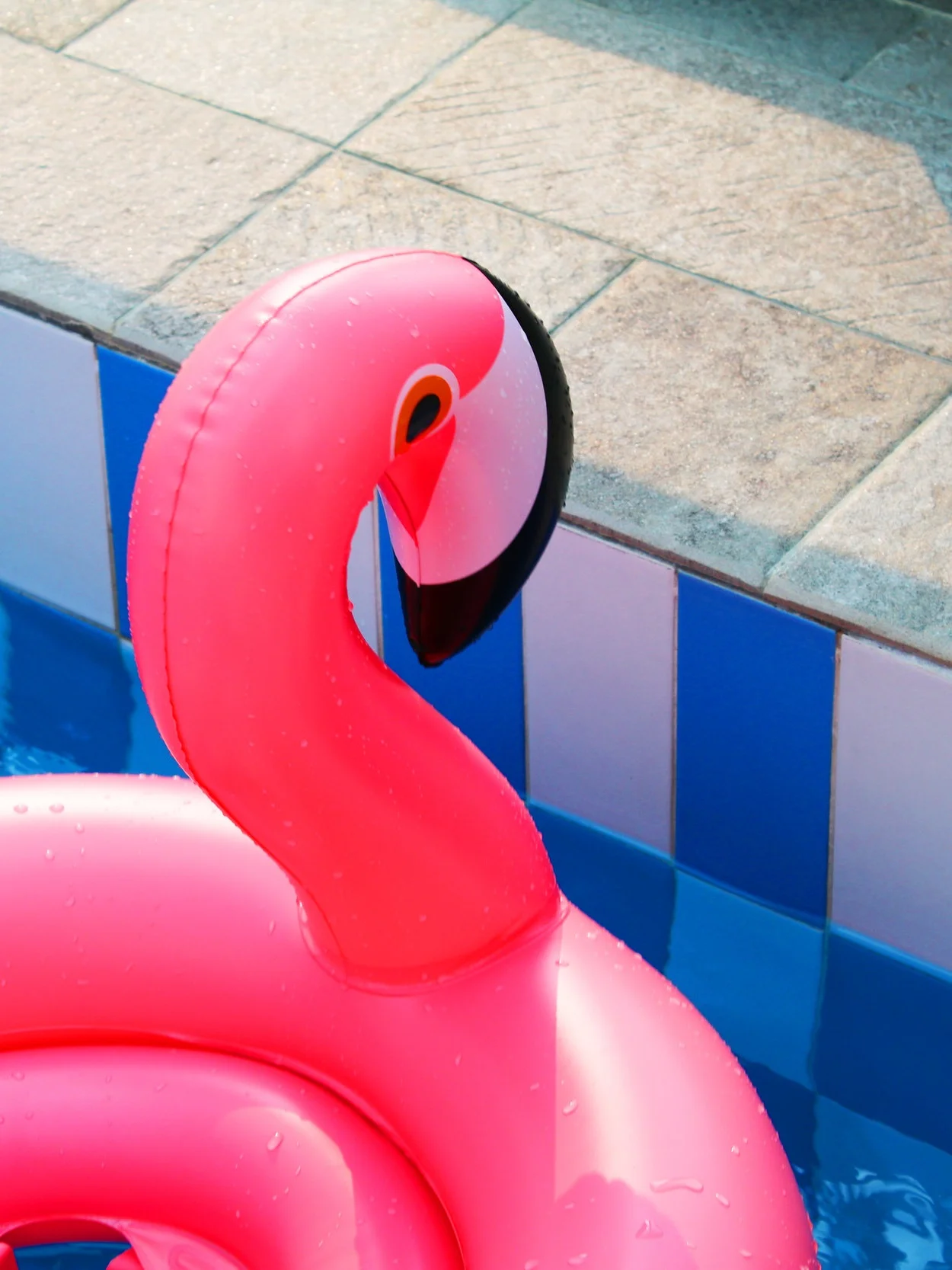 Taking Stock of The Fools Advice