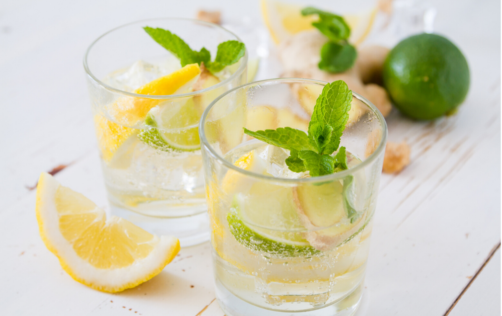 Immuni-Tea Ginger Citrus Shots — Arteasana