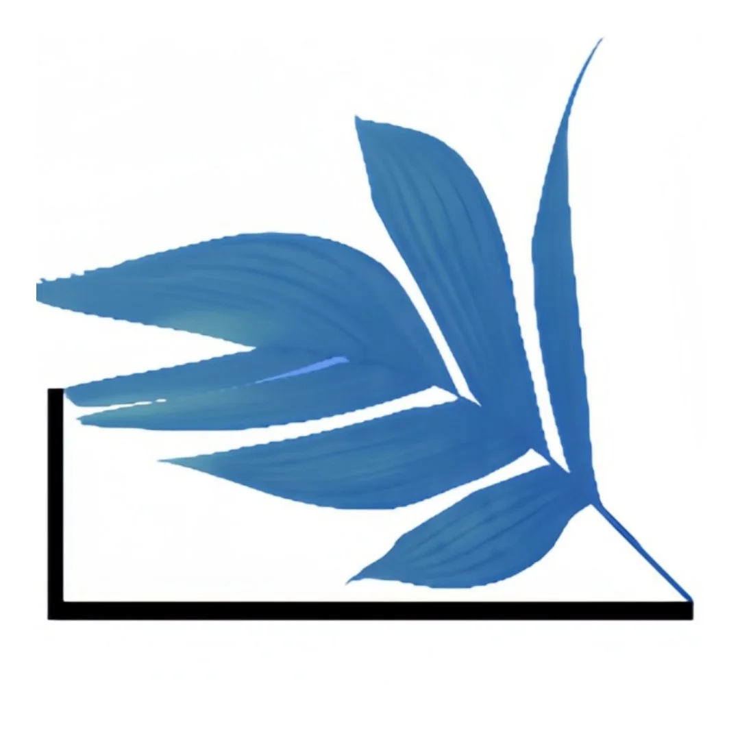 2 -Avatar (2).jpg