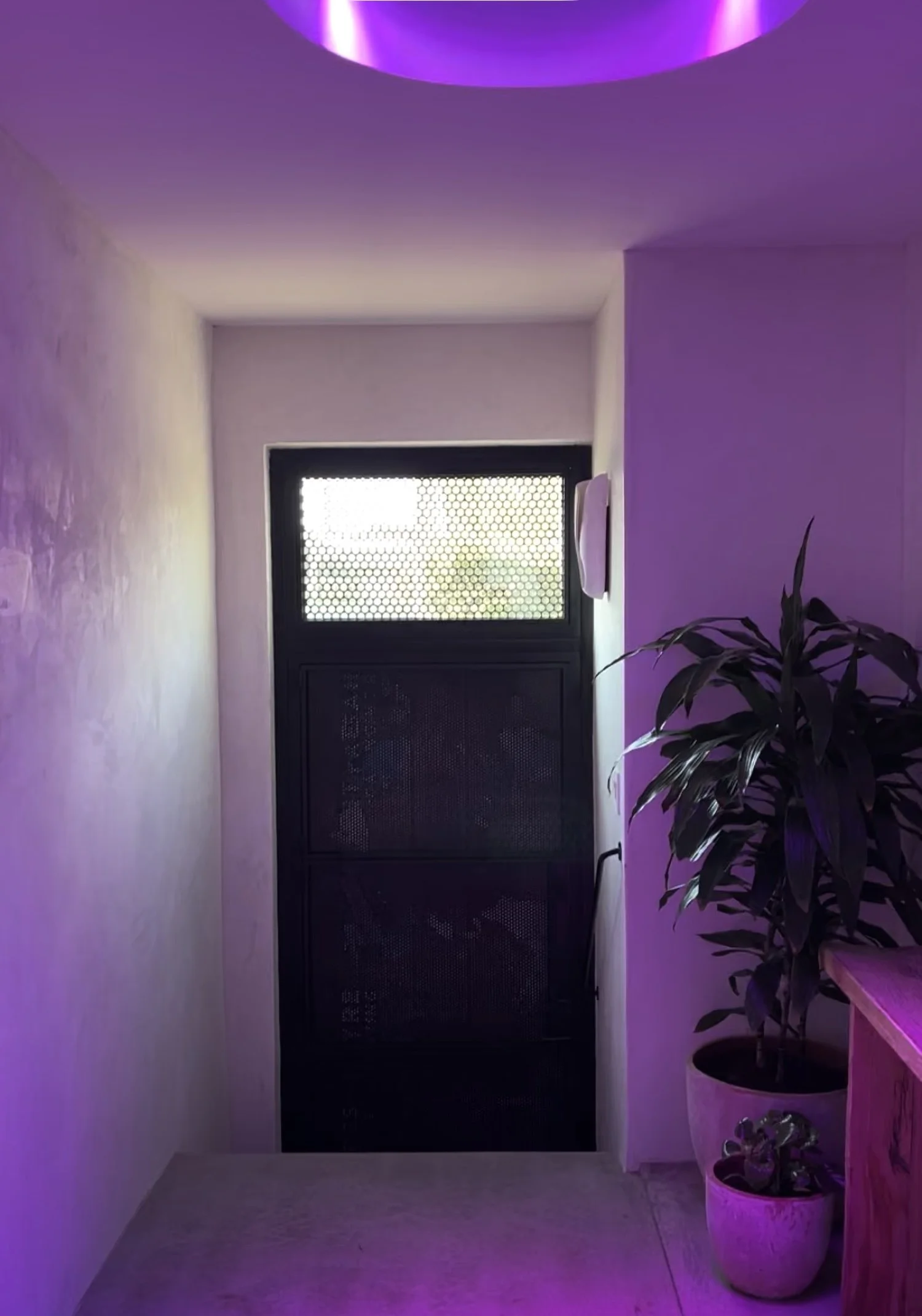 Lacuna purple lighting brand event indoor West Adams Los Angeles