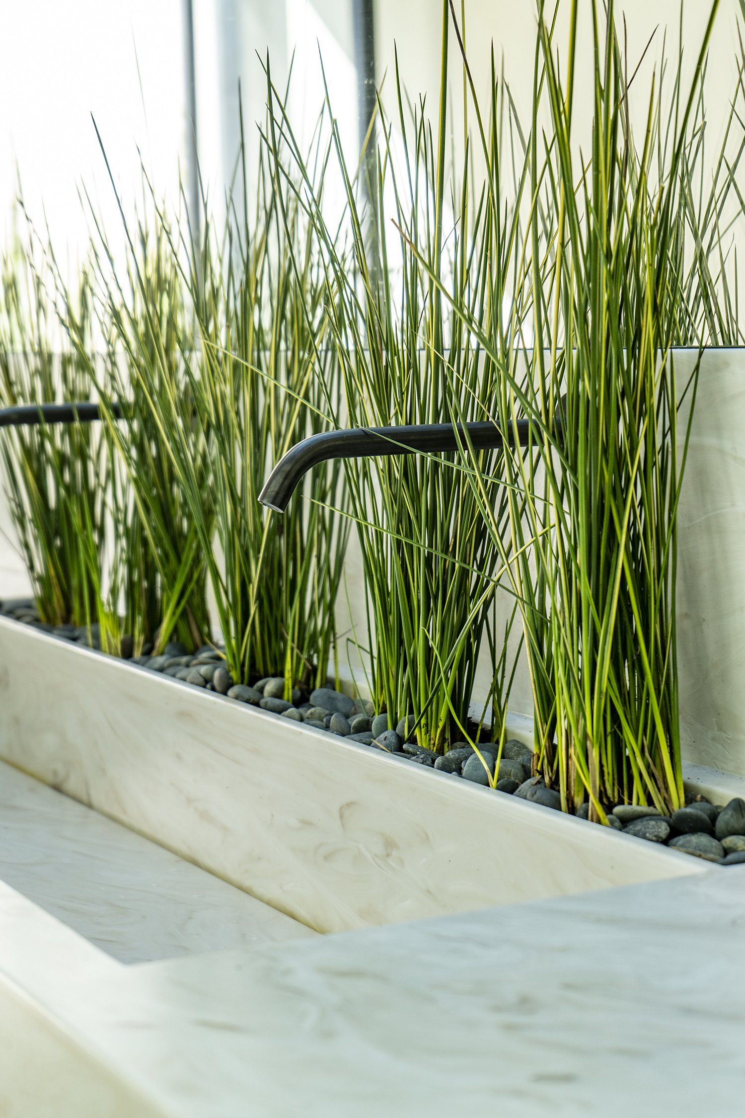 Lacuna courtyard ornamental grass planter detail Los Angeles