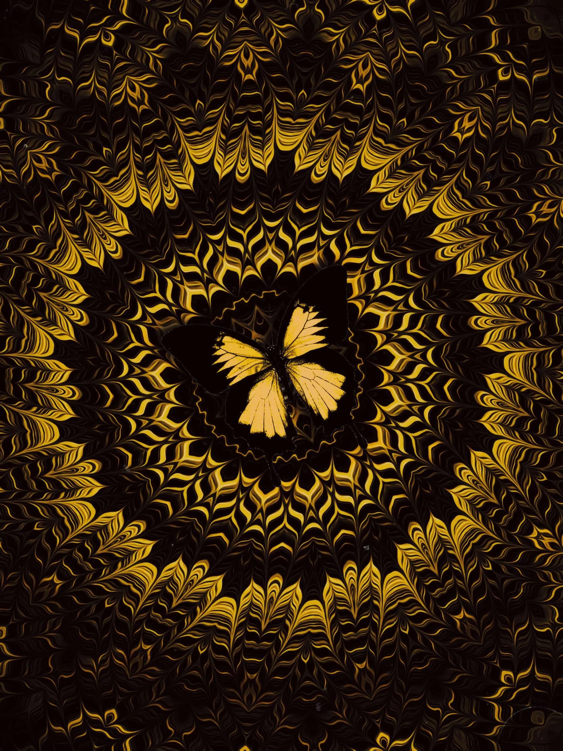 Yellow butterfly digital collage artwork with hypnotic radial patterns, layered symmetry, and psychedelic optical illusion textures