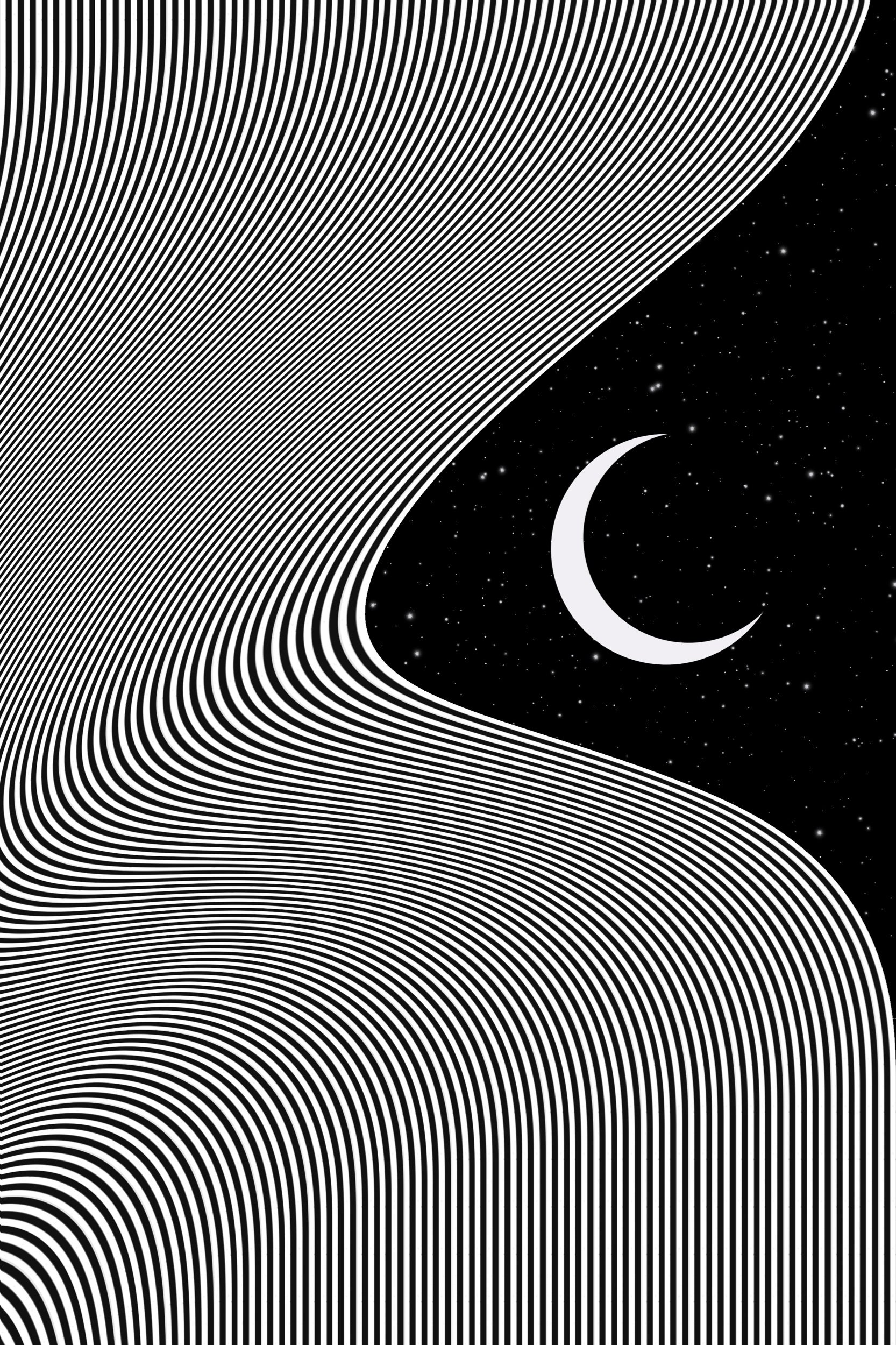 Optical Illusion Canvas ART: “Stargazing”