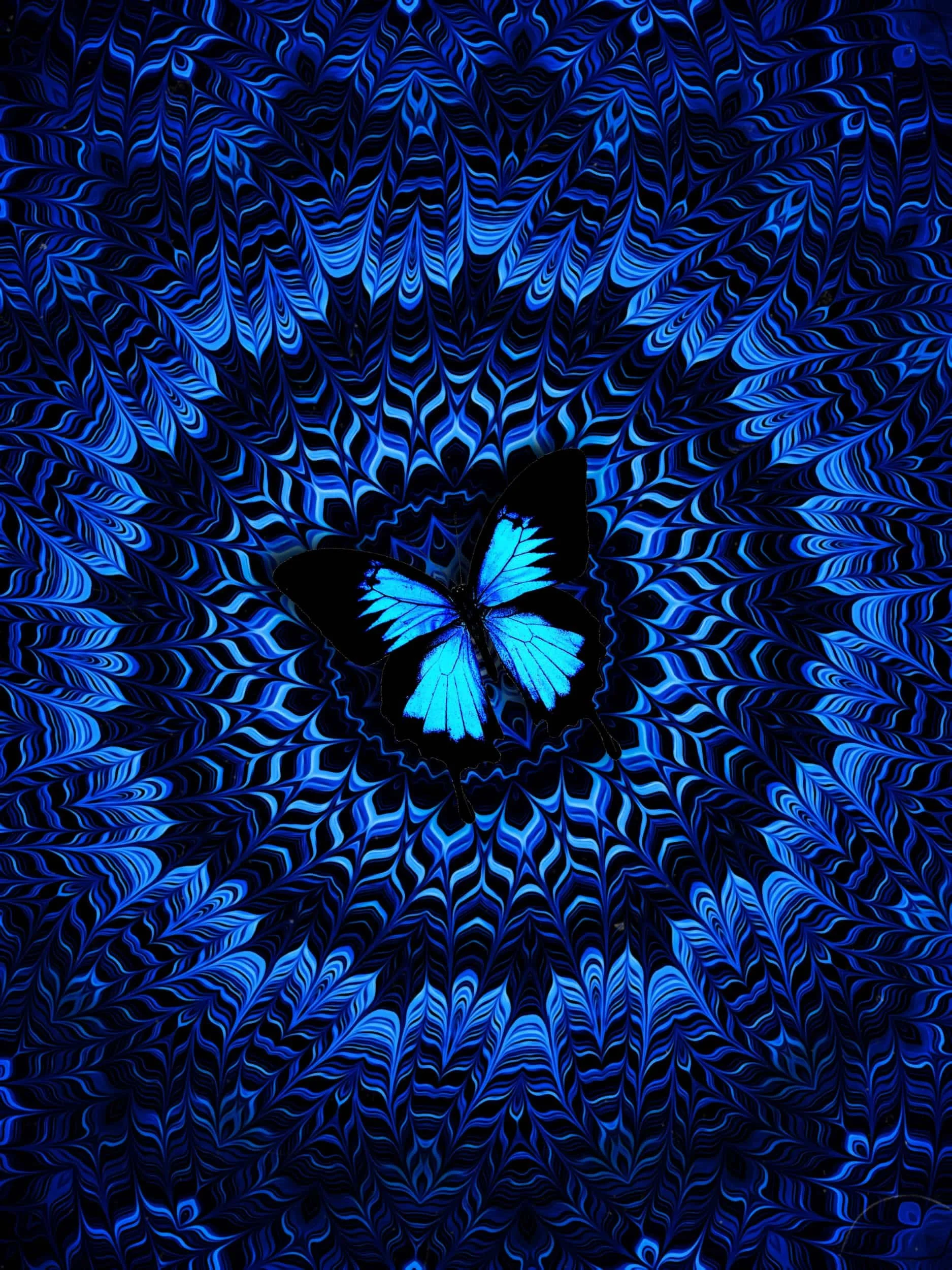 Blue butterfly digital collage artwork with hypnotic radial patterns, layered symmetry, and psychedelic optical illusion textures 