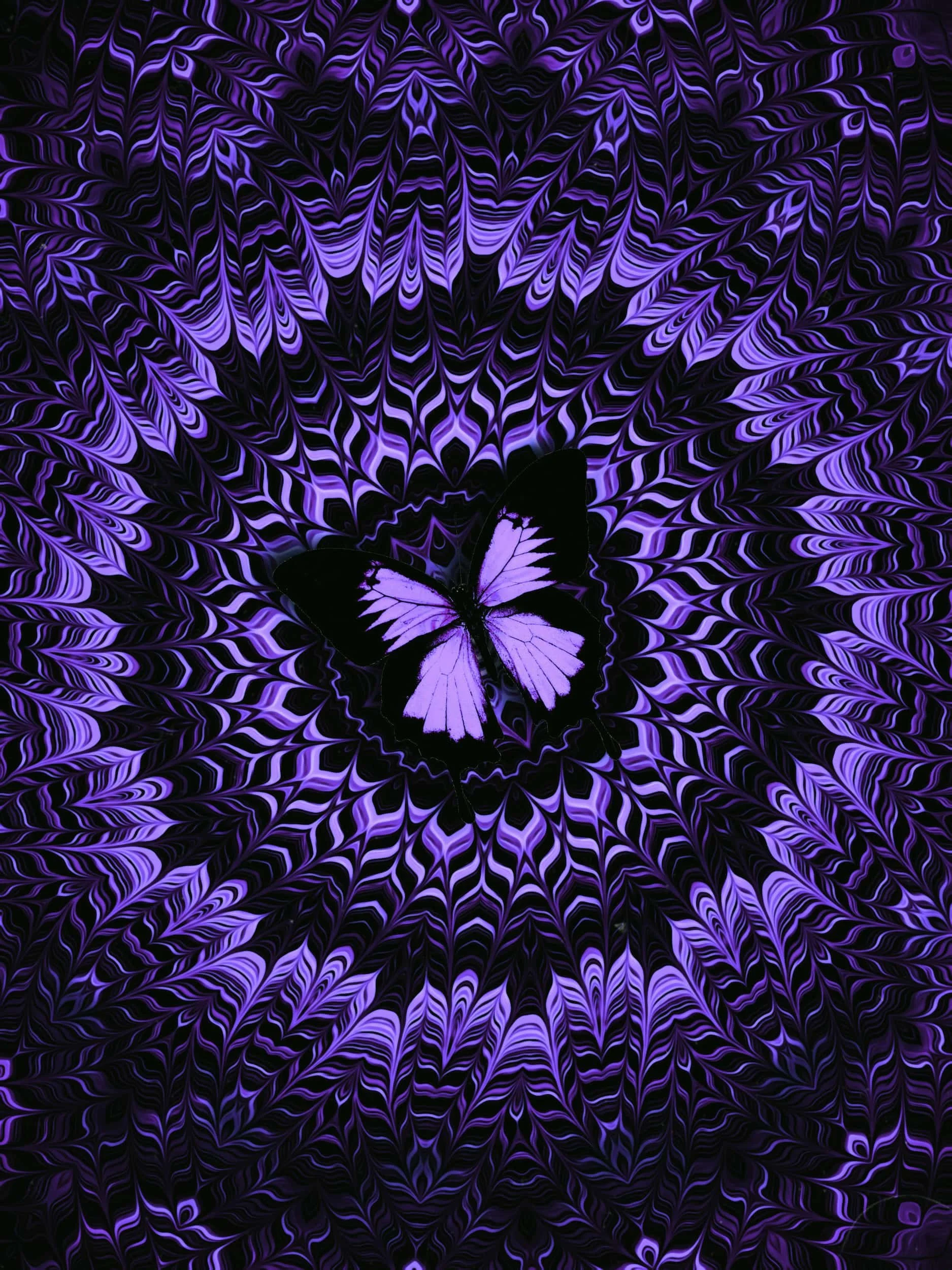 Purple butterfly digital collage artwork with hypnotic radial patterns, layered symmetry, and psychedelic optical illusion textures