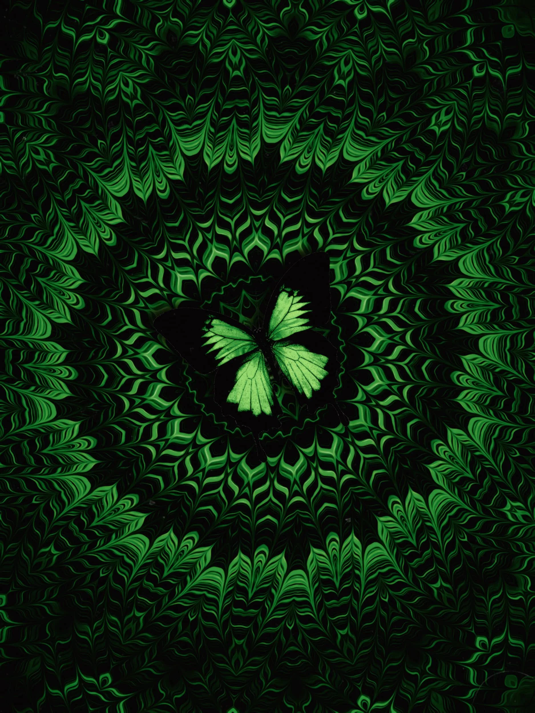 Green butterfly digital collage artwork with hypnotic radial patterns, layered symmetry, and psychedelic optical illusion textures