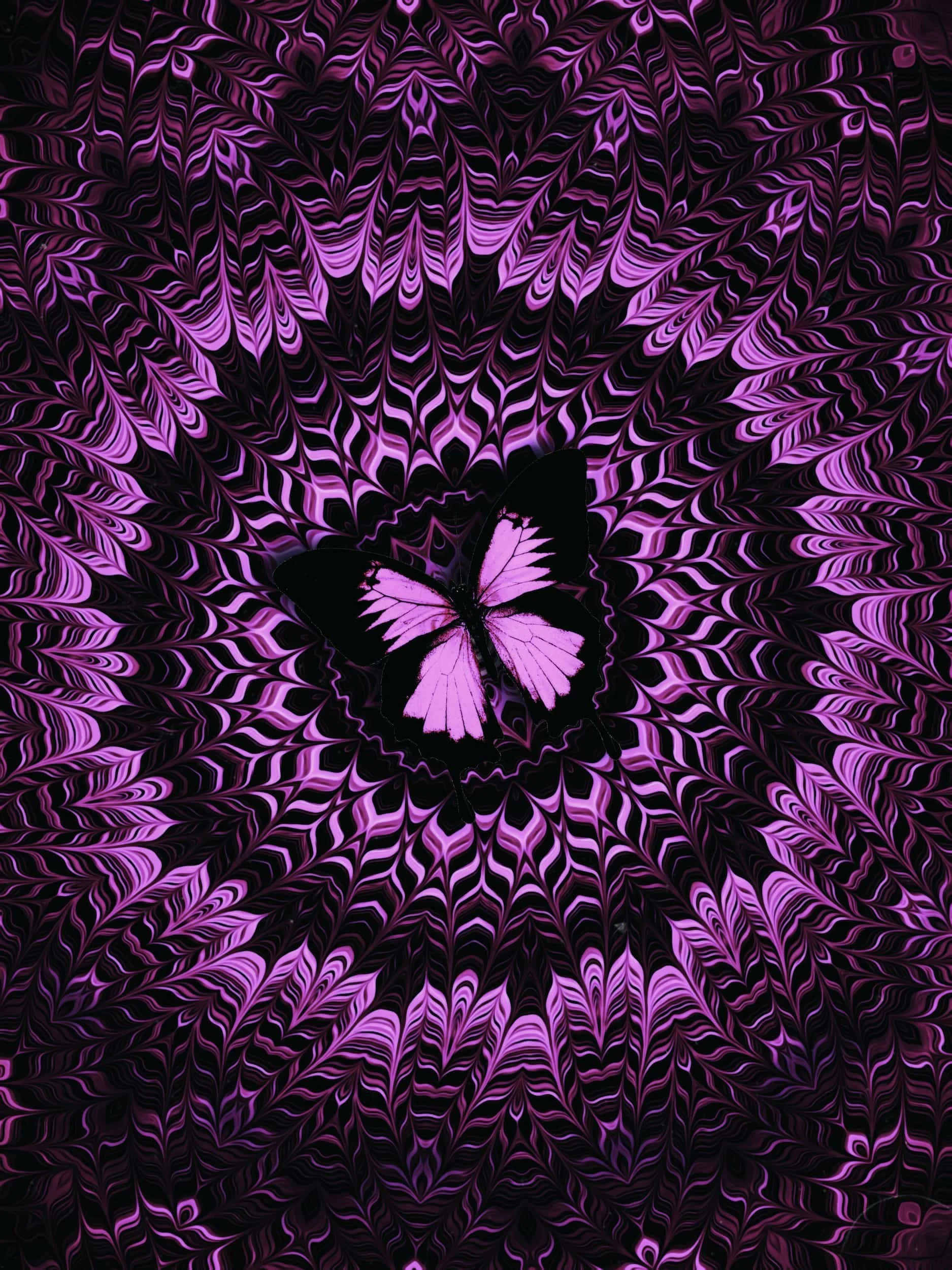 Pink butterfly digital collage artwork with hypnotic radial patterns, layered symmetry, and psychedelic optical illusion textures