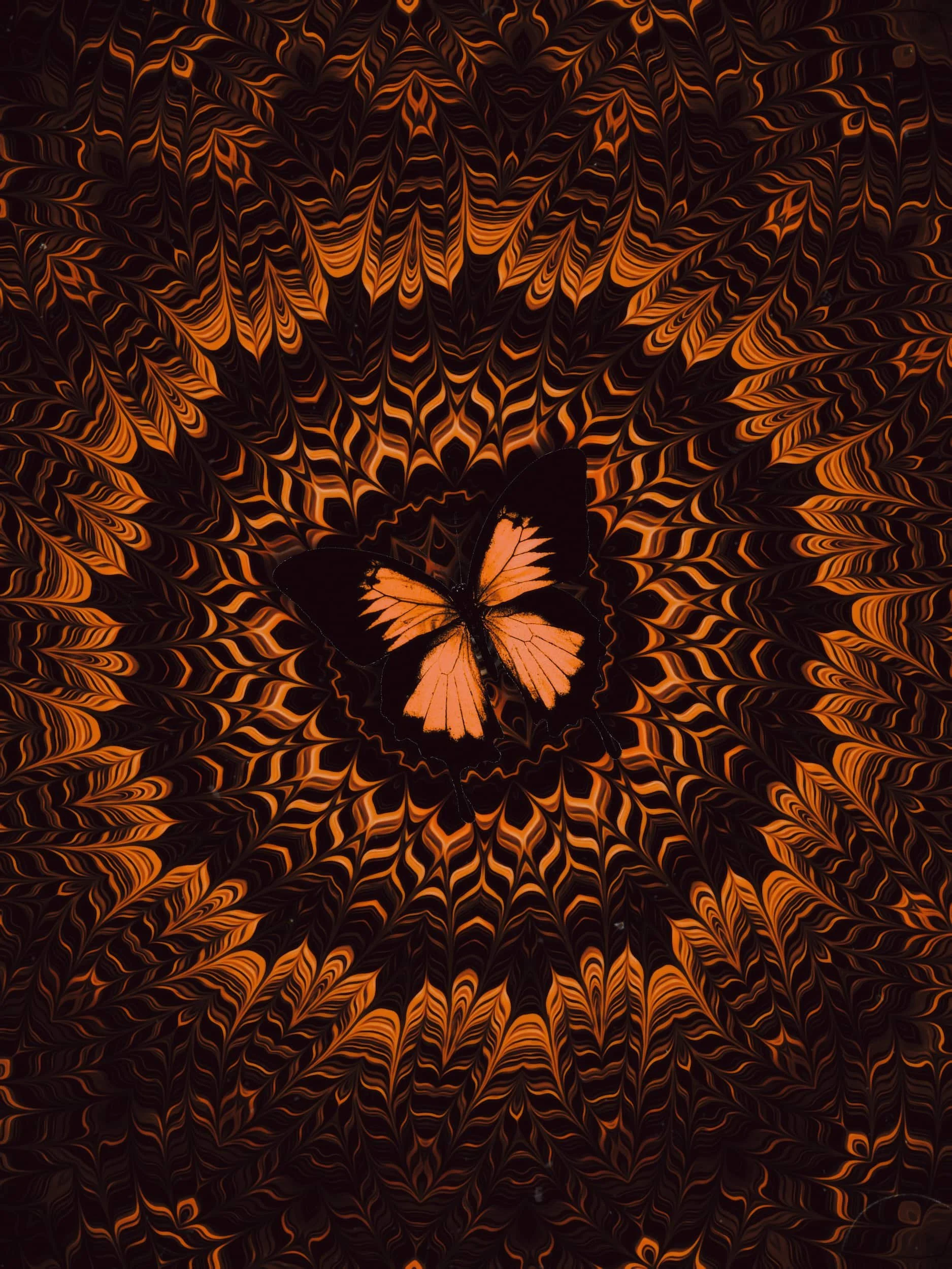 Orange butterfly digital collage artwork with hypnotic radial patterns, layered symmetry, and psychedelic optical illusion textures
