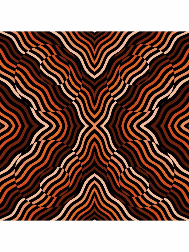 Orange and black optical illusion artwork with warped striped patterns, curved geometric forms, and hypnotic psychedelic movement