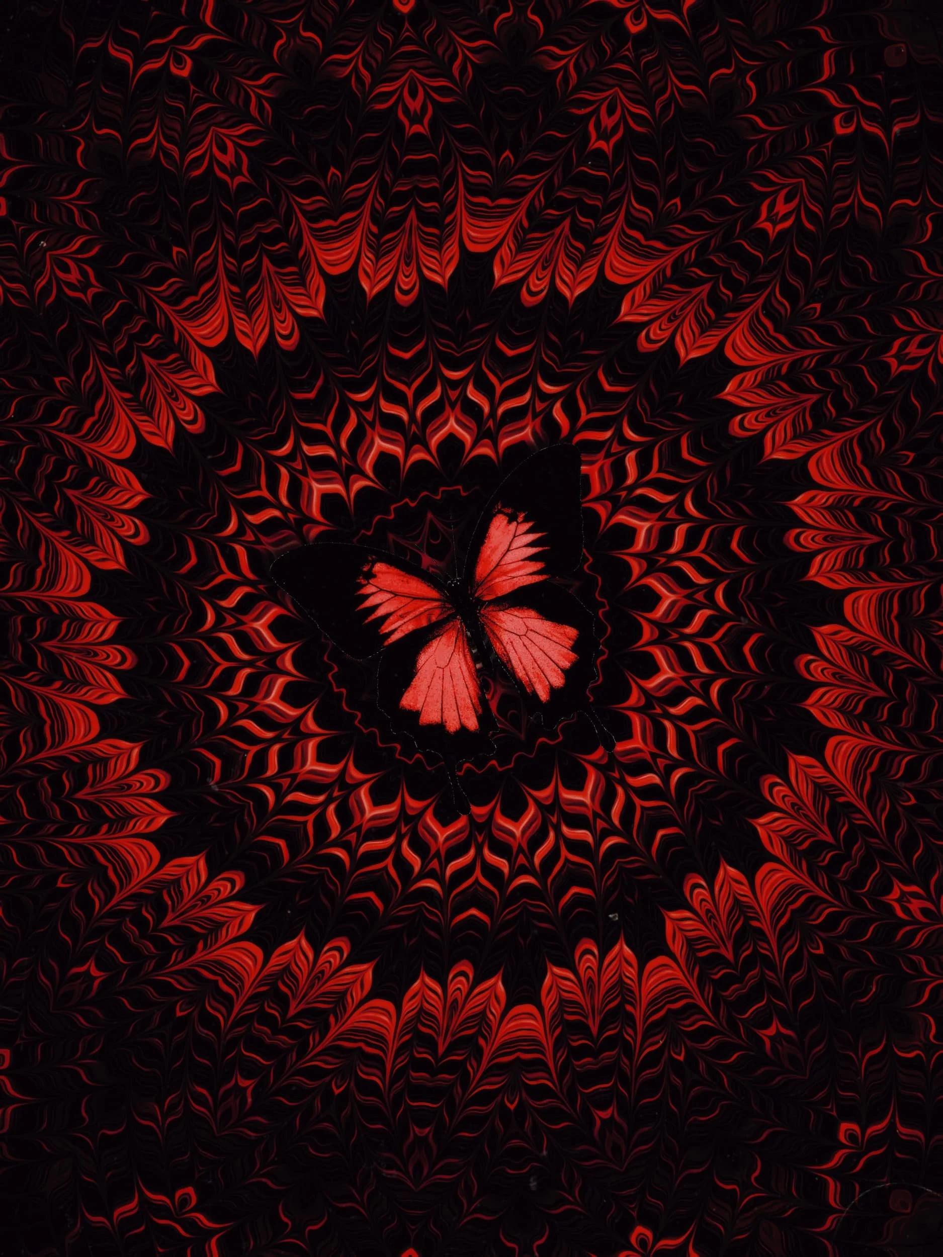 Red butterfly digital collage artwork with hypnotic radial patterns, layered symmetry, and psychedelic optical illusion textures