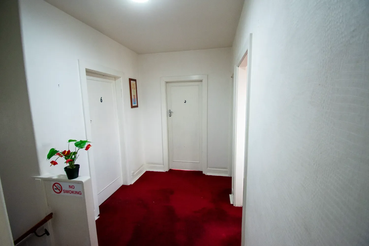 336 Bealey Ave Co Living Christchurch-13.webp