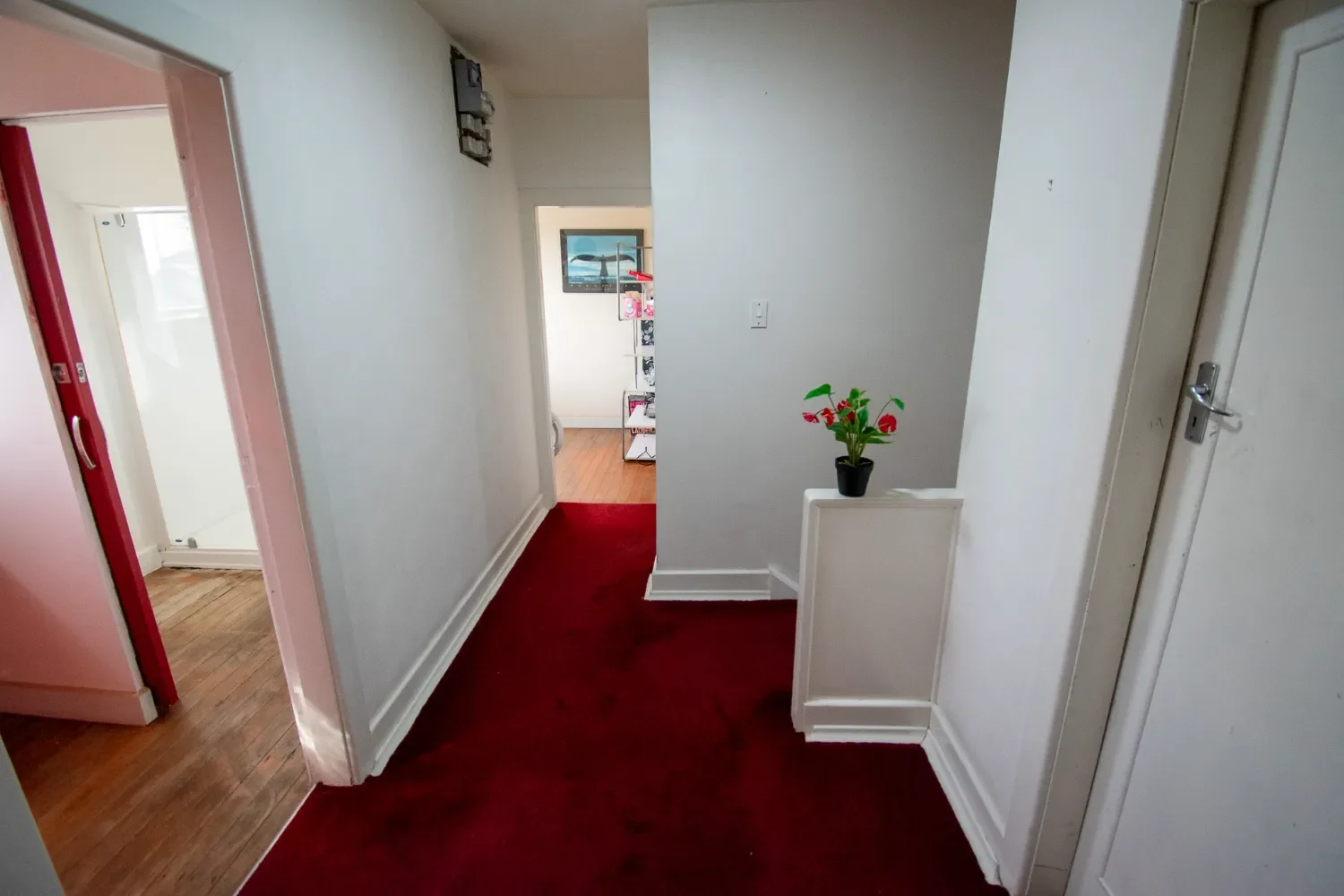 336 Bealey Ave Co Living Christchurch-14.webp