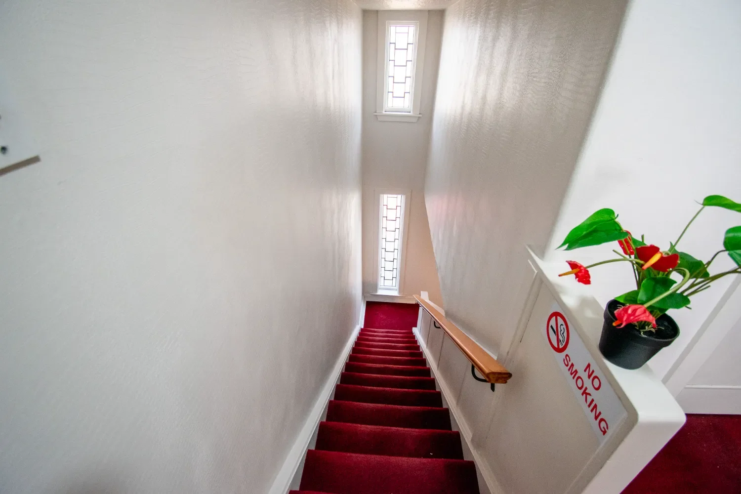 336 Bealey Ave Co Living Christchurch-17.webp