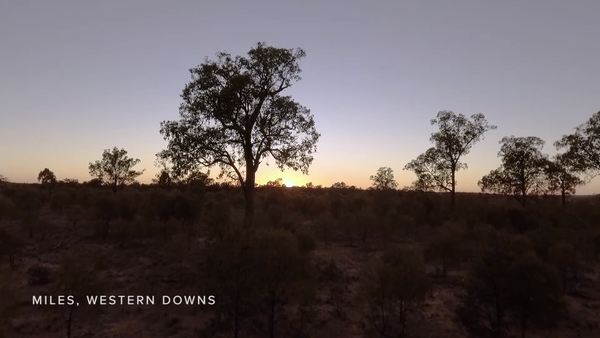 Possum Park - Experience Western Downs 